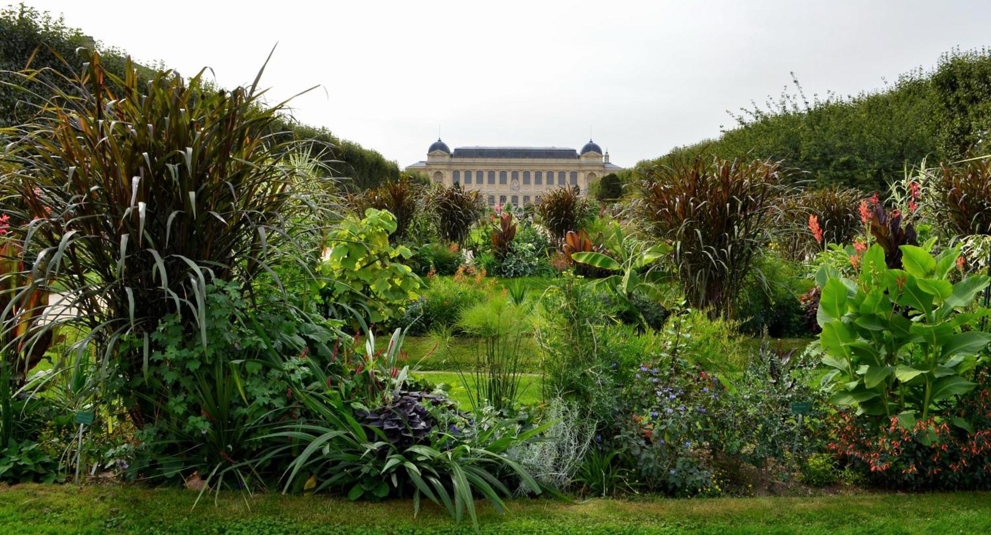 So Paris Group - Fully Serviced Apartment - Jardin Des Plantes - Heart Of Parijs Buitenkant foto